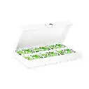 yogupet-helados-caja-green-ice.webp