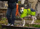 axaeco-action-collar-actiontrackinglead-4seasondogcoat.webp