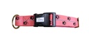 Sleddog Collar Reflex Click