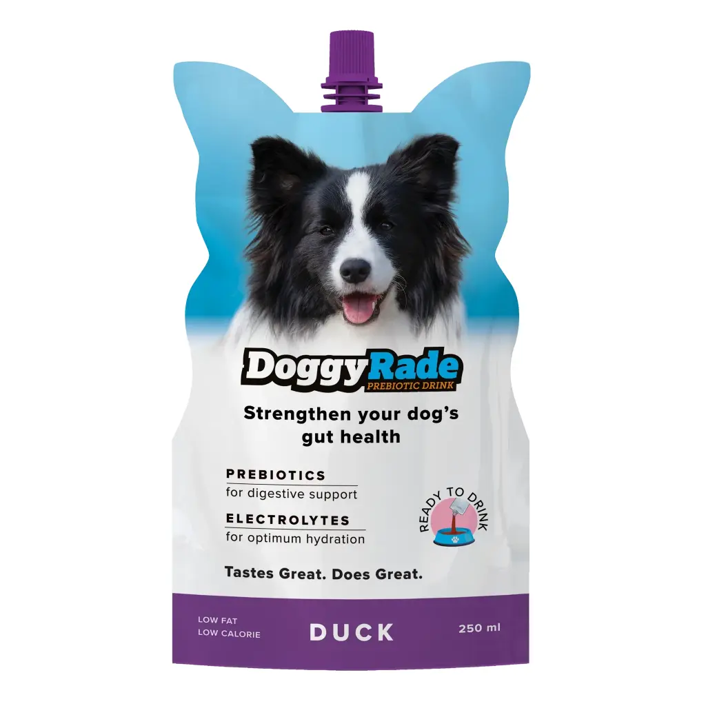 Doggyrade Duck