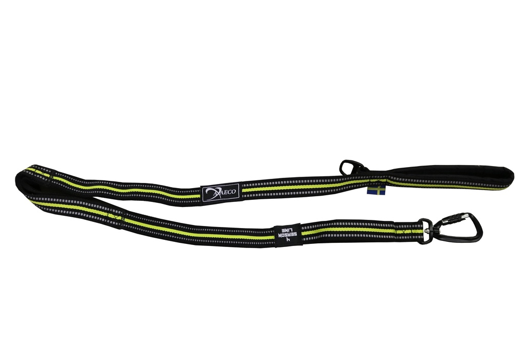 4 Season Elastic Leash