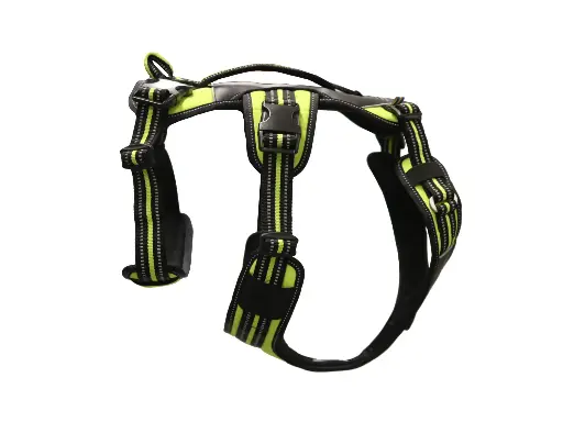 4 Season Broad Peak Harness